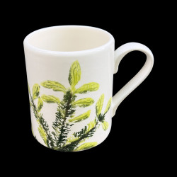 Mug spruce