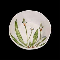 Deep plate plantago