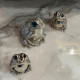 Salt & Pepper Shaker pewter Frog