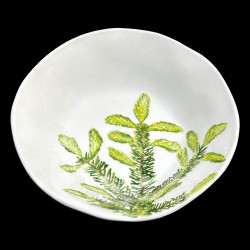 Picea dessert plate