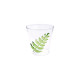 Water glass Fern