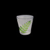 Water glass Fern