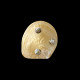 Coquillage rond sur pied
