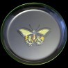 Butterflies bread Crystal plate