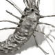 Langouste sculpture en fonte argentée Mauro Manetti L 43 x 30 cm H 44 cm