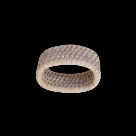 6 rattan napkin rings