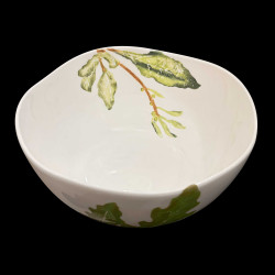 Salad bowl of edible plants
