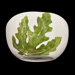Saladier plantes comestibles