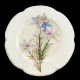 57 Dinner Plates, in French Faience Choisy-le-Roi, 19th Century