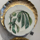 57 Dinner Plates, in French Faience Choisy-le-Roi, 19th Century