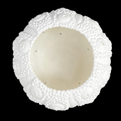 Photophore rond Oursin
