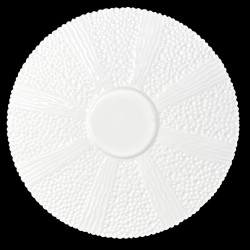Urchin cup and saucer