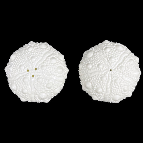 Pair of Salt and Pepper Shaker