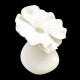 Vase incliné fleur Corail