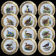 12 assiettes décor d'oiseaux porcelaine de la manufacture Royal Vienna, fin XIXe