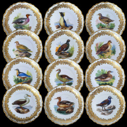 12 porcelain dinner plates with birds from Royal Vienna late 19th century