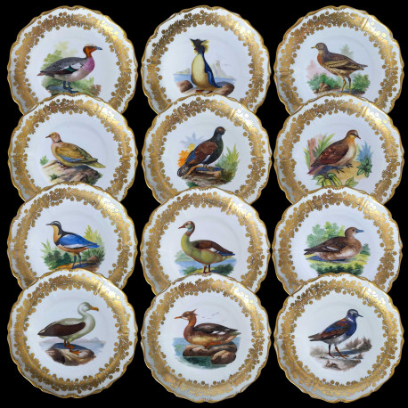 12 assiettes décor d'oiseaux porcelaine de la manufacture Royal Vienna, fin XIXe