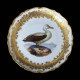 12 assiettes décor d'oiseaux porcelaine de la manufacture Royal Vienna, fin XIXe