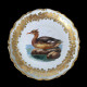 12 porcelain dinner plates with birds from Royal Vienna late 19th century