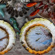 Turquoise seahorse decoration
