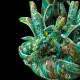 Bougeoir hippocampe poisson turquoise