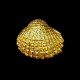 Rond de serviette doré Coquillage