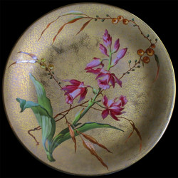 série de 11 Assiettes XIX D 23 cm 