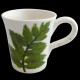 Mug Fougere