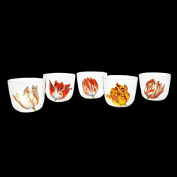 Verre à eau collection Tulipmania