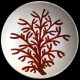 Coral- big round dish 38 cm