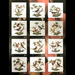 Deep plate 23cm Rothschild Herend