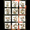 Tasse mug Rothschild Herend