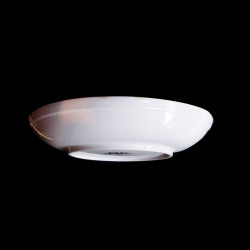 Fougère Grand plat rond creux D 38 cm