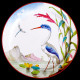 Tin box of 6 tin plates "The Birds" Buffon collection