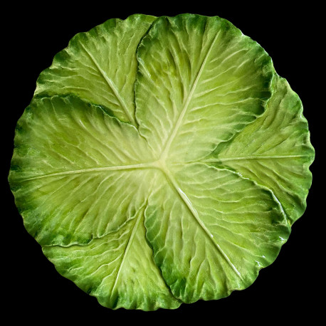 Assiette de table faïence feuille de chou