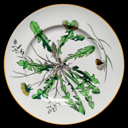 Assiette de table Légumes Creil & Montereau XIXe siècle