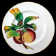 Vegetables Dinner Plate Creil & Montereau 19th century