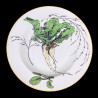 Vegetables Soup Plate Creil & Montereau 19th century