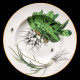 Vegetables Soup Plate Creil & Montereau 19th century