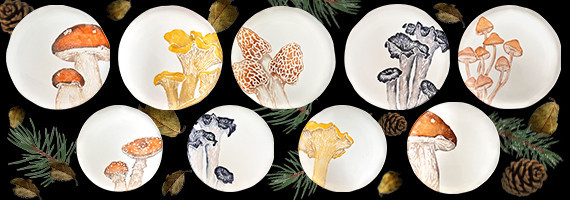 Collection Champignons comestibles