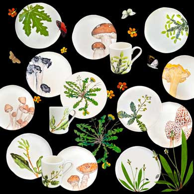 Collection of mushrooms and edible plants